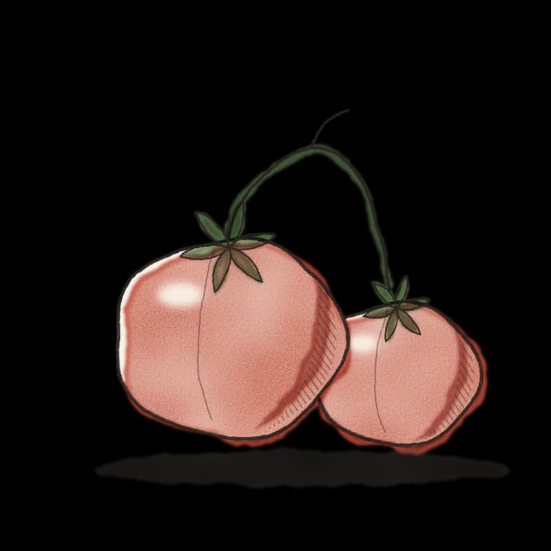 Ink and watercolor drawing of tomatoes on the vine